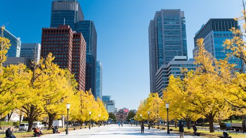 東京の紅葉はこれから見頃。12月まで美しい「紅葉スポット」6選