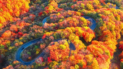 東京都心から行きやすい秋の「紅葉」バイクツーリングスポット8選