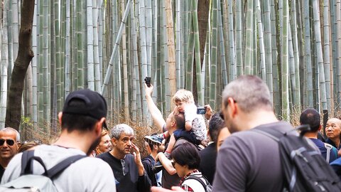 写真と全然違うじゃん…外国人観光客が漏らした「京都旅行」のホンネ