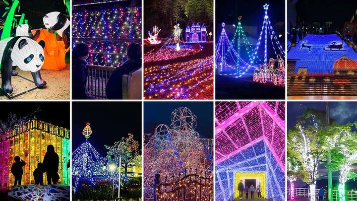 クリスマス☆イルミネーション☆⑥ 親子で楽しむイルミネーション ～Wonder Night Hill 2024～ 【堺・緑の