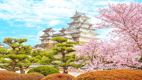 ランキングに異変？お城ファンが実際に訪れた日本のお城TOP10