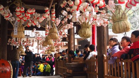 木津川市・相楽神社の「餅花祭」〜満開の餅の花が出迎える正月行事〜