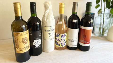 世界で存在感を増す「日本ワイン」その中心地・山梨県勝沼ワイナリーを巡ってわかったこと