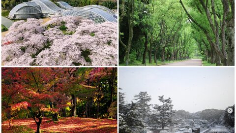 京都府立植物園を大解剖！日本最古の公立植物園が開園100周年