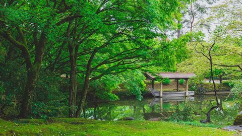 【2024】京都・青もみじの名所｜初夏を彩る新緑の絶景スポット