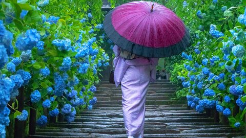 美しい雨が絶景に…雨の日にこそ「映える」観光スポット7選