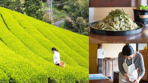 京都の茶どころ・和束町で新茶の茶摘み＆茶そば打ち体験