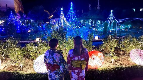 【2024夏】京都の幻想的な夜間ライトアップ