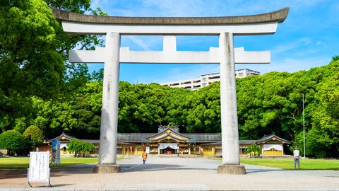 愛犬との別れで沈む家族が一変…「福岡縣護国神社」参拝後にやってきた一匹の子猫