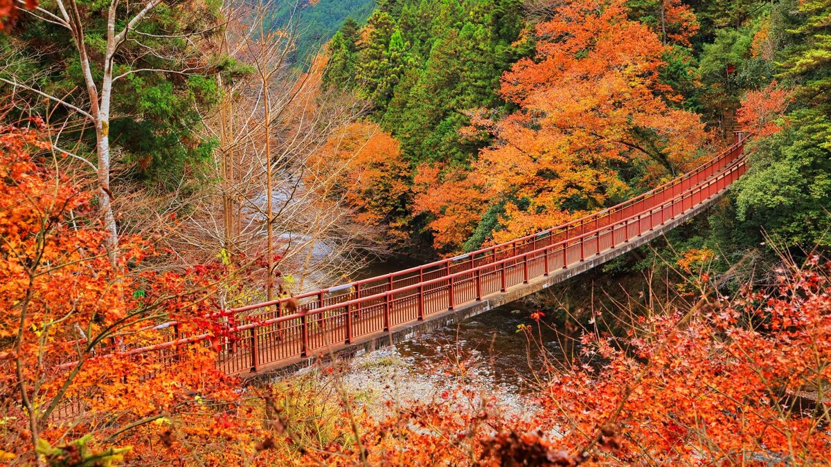 紅葉「い・ろ・は」 大切な想い出。秋 一生に一度は訪れたい！日本の美しい「紅葉」スポットまとめ | TABI LABO