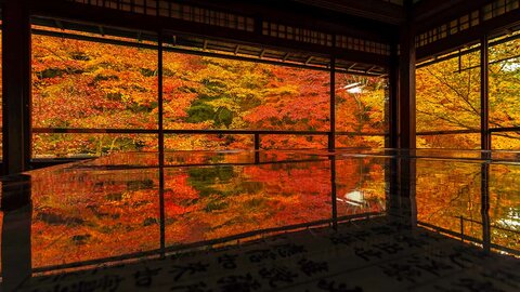 【2024】京都の艶やかに映り込む紅葉特集