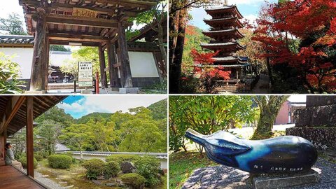 木津川市・海住山寺の歴史と見どころを徹底解剖！