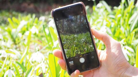 プロカメラマンに聞く、スマホカメラで春の花をステキに撮影しよう