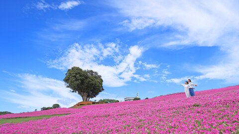 夏の思い出を彩る旅に。子どもと一緒に行きたい全国の「絶景スポット」 夏の思い出を彩る旅に。子どもと一緒に行きたい全国の「絶景スポット」