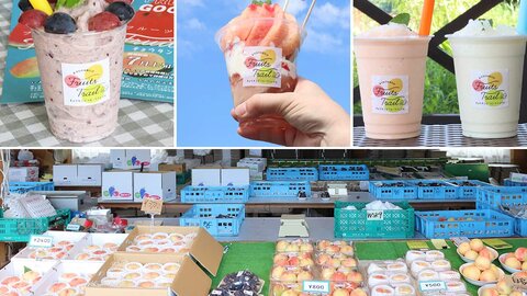 京丹後のフルーツトレイルを満喫&秋の旬な果実をご紹介 京丹後のフルーツトレイルを満喫&秋の旬な果実をご紹介