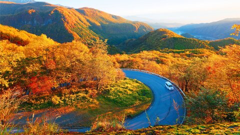 ドライブで自由な旅へ。男女579名に聞いた、2025年秋の行楽シーズントレンド ドライブで自由な旅へ。男女579名に聞いた、2025年秋の行楽シーズントレンド