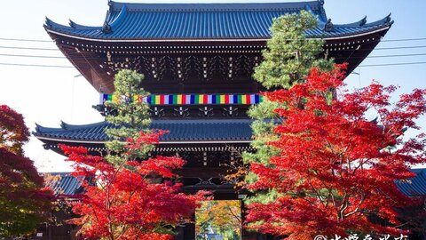 通常非公開の庭園が限定公開。京都「金戒光明寺」で夜の紅葉ライトアップ【11/15〜】 通常非公開の庭園が限定公開。京都「金戒光明寺」で夜の紅葉ライトアップ【11/15〜】