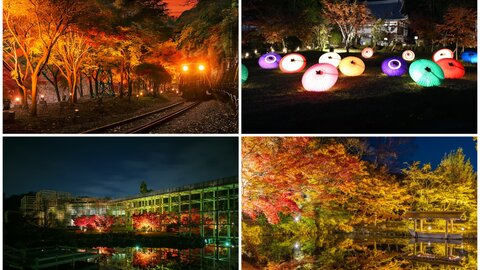 【2025】京都の紅葉ライトアップ｜日付順・秋の夜間拝観＆夜観光