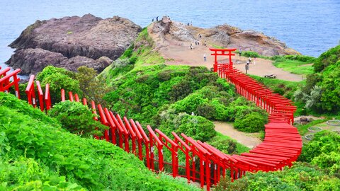 お賽銭を入れられたら幸運?青い海に真っ赤な鳥居が美しいパワースポット「元乃隅神社」 お賽銭を入れられたら幸運?青い海に真っ赤な鳥居が美しいパワースポット「元乃隅神社」