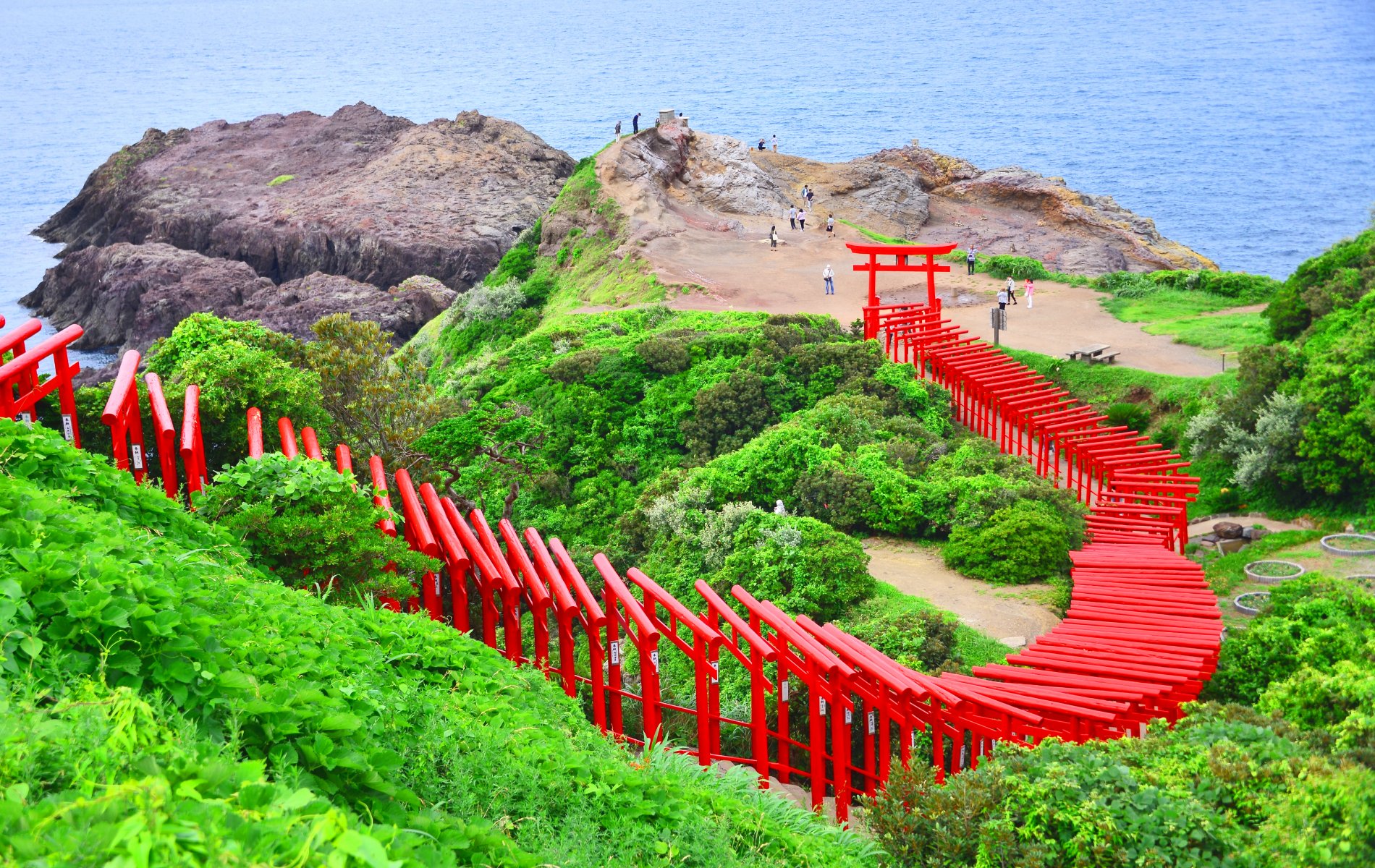 お賽銭を入れられたら幸運？青い海に真っ赤な鳥居が美しいパワー