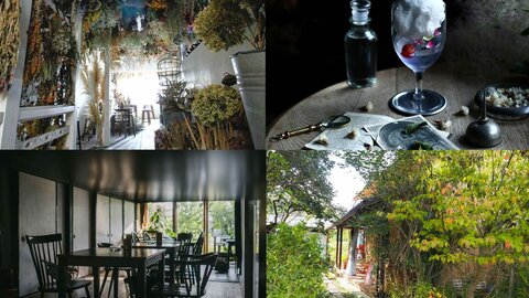 京都の幻想的なカフェ｜異世界のような非日常空間を楽しむ