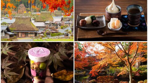 京都の紅葉名所&一緒に食べたい絶品スイーツ 京都の紅葉名所&一緒に食べたい絶品スイーツ