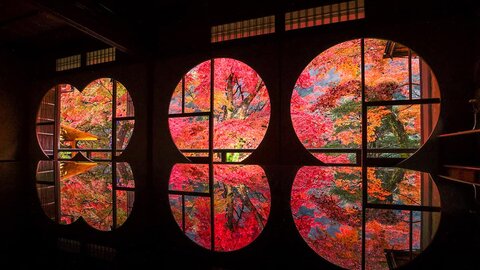 【2025】京都の紅葉｜まるで絵画のようなアート紅葉スポット