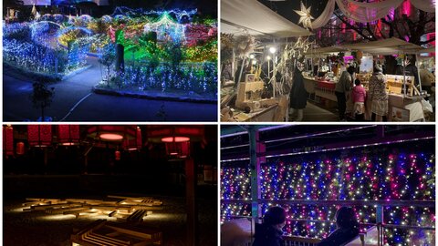 【2025-2026】日付順・デートで行きたい♡京都の冬イルミネーション