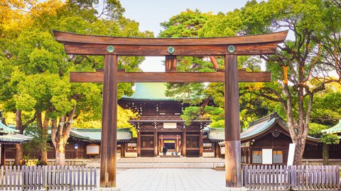 仕事帰りにサクッと運気アップ。東京都内で人気の「パワースポット」4選