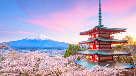 日本の春が輝く場所へ。旅のプロが心奪われた「春の絶景が美しい自治体」ベスト30