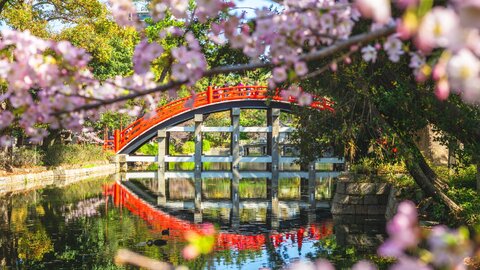 天下人の神社から大阪最強の聖地まで。地元民も太鼓判の「大阪パワースポット」3選