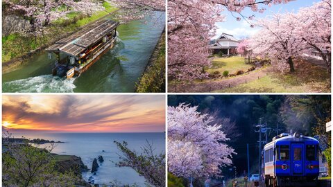 編集部厳選！足を伸ばして出かけたい京都・桜旅