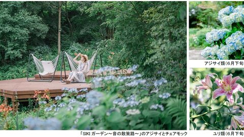 アジサイ350株とユリ1,000株が咲き誇る。ROKKO森の音ミュージアムで夏のガーデンイベント開催 アジサイ350株とユリ1,000株が咲き誇る。ROKKO森の音ミュージアムで夏のガーデンイベント開催