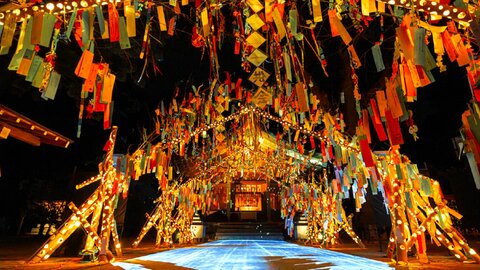 七夕はまだ終わっていなかった。太宰府・竈門神社で竹あかりの中、短冊に願いを託す夜 七夕はまだ終わっていなかった。太宰府・竈門神社で竹あかりの中、短冊に願いを託す夜