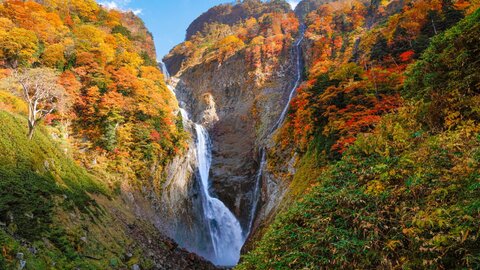 ゆっくり秋を味わいたい。紅葉が美しい穴場スポットランキング【2026年】