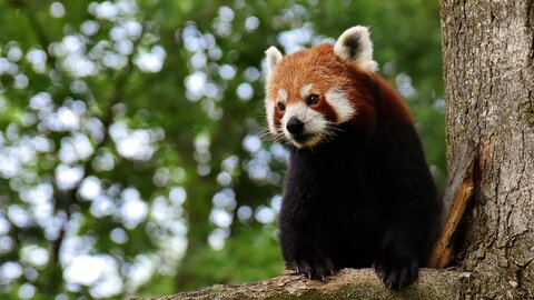 SNSで話題の動物たちがお出迎え?心地よい秋にこそ訪れたい人気「動物園」ランキング SNSで話題の動物たちがお出迎え?心地よい秋にこそ訪れたい人気「動物園」ランキング