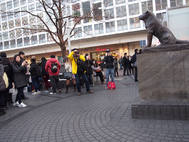 休日ともなるとハチを撮影する人の波は途切れない